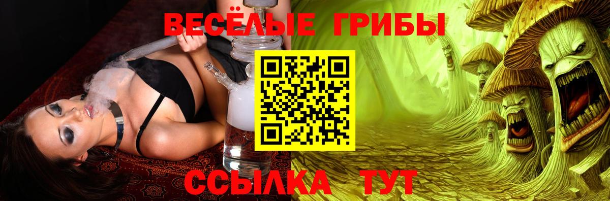 Псилоцибиновые грибы Cubensis Котельники