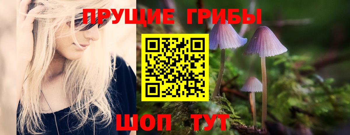 Псилоцибиновые грибы прущие грибы  Псилоцибиновые грибы Magic Shrooms  Вход с VPN  Котельники 